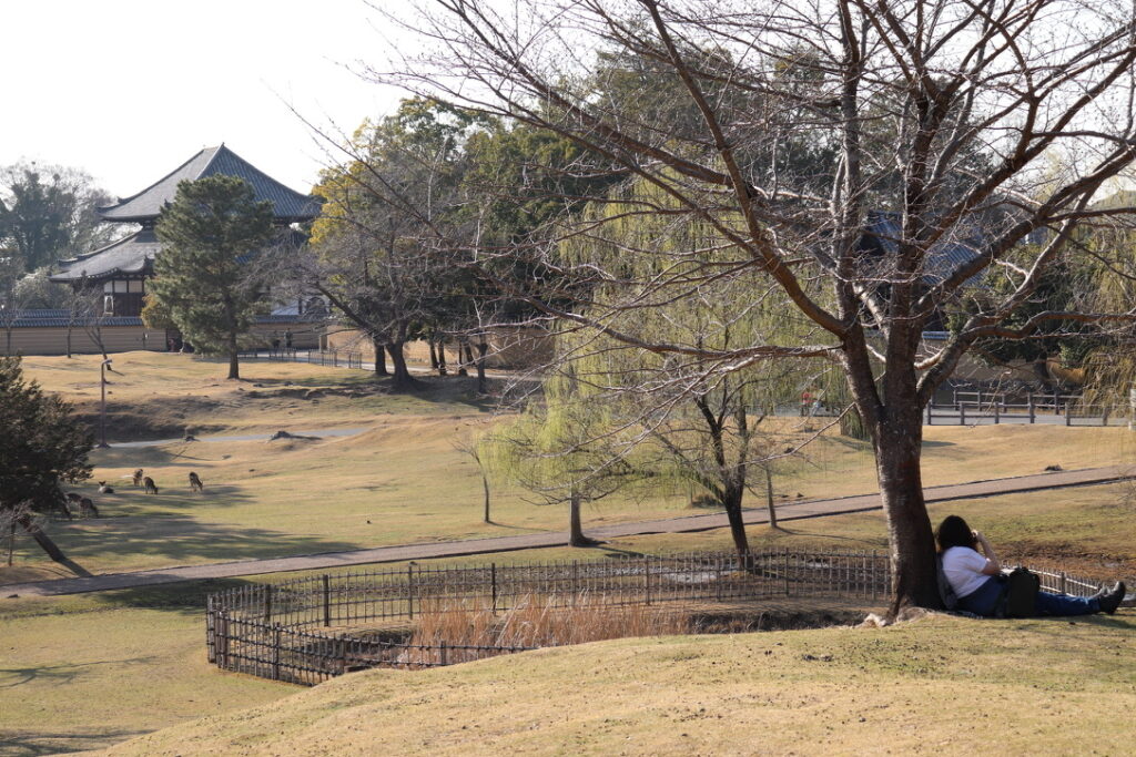奈良県東大寺